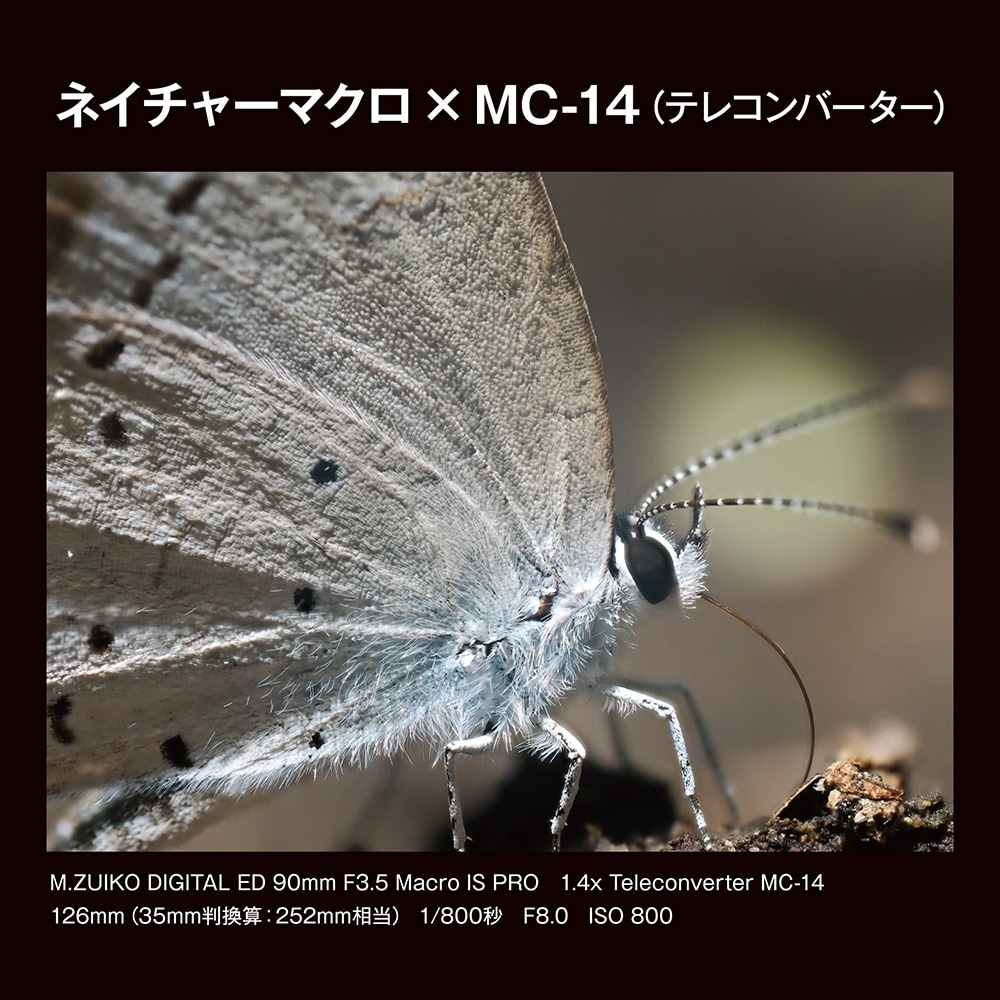 OM SYSTEM M.ZUIKO DIGITAL 1.4x Teleconverter MC-14 | 交換レンズ