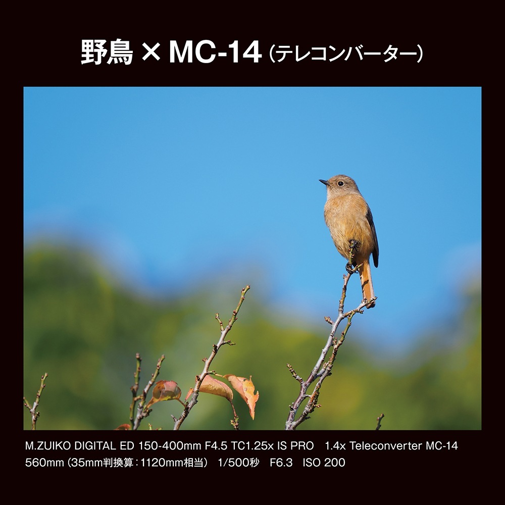 OM SYSTEM M.ZUIKO DIGITAL 1.4x Teleconverter MC-14 | 交換レンズ