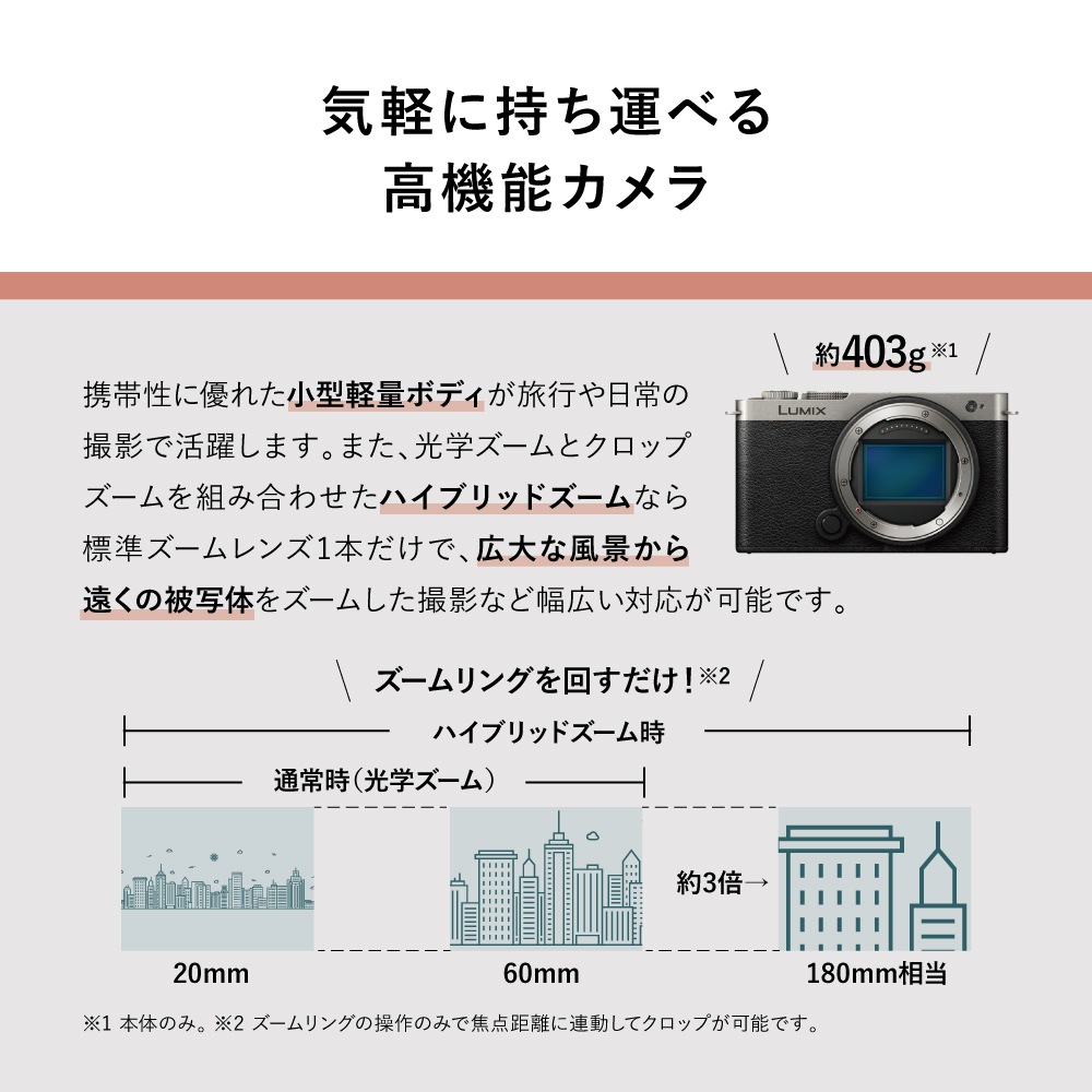 Panasonic LUMIX S9 ダブルレンズキット ダークシルバー(DC-S9W-S