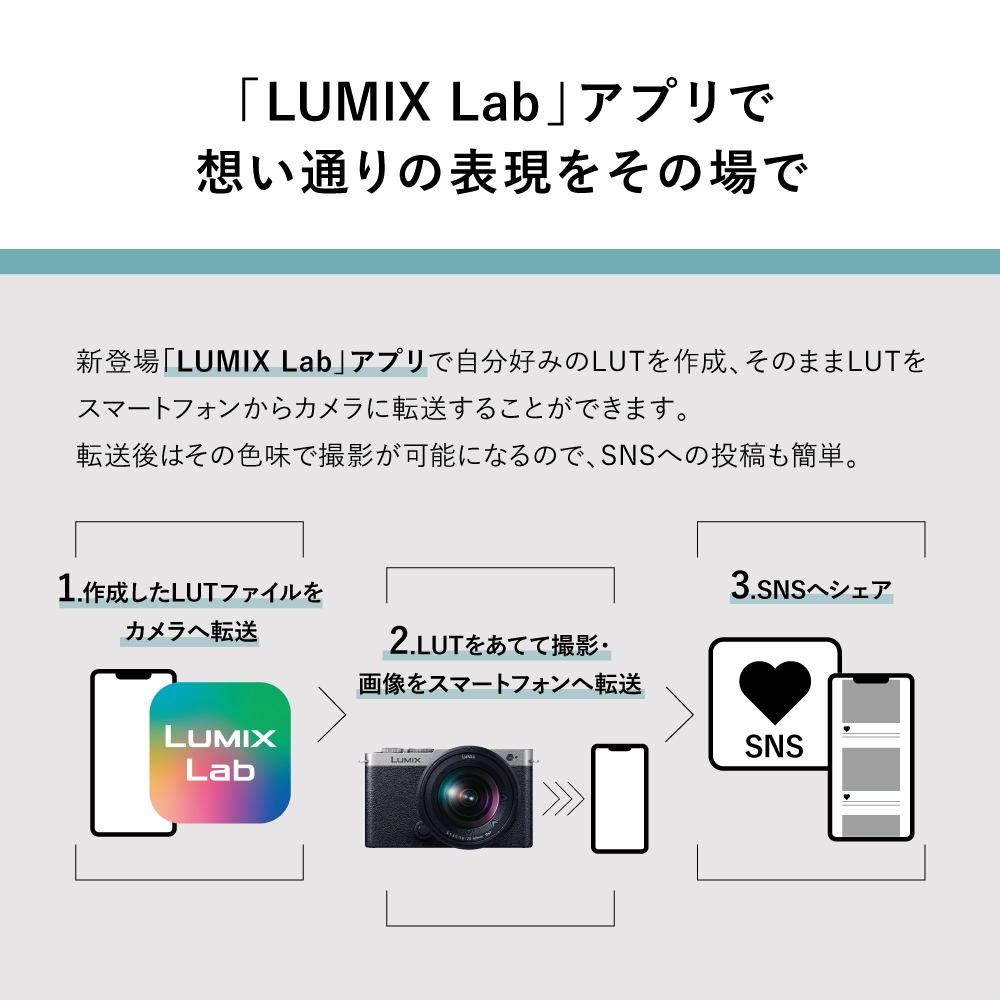 Panasonic LUMIX S9 ダブルレンズキット ダークシルバー(DC-S9W-S