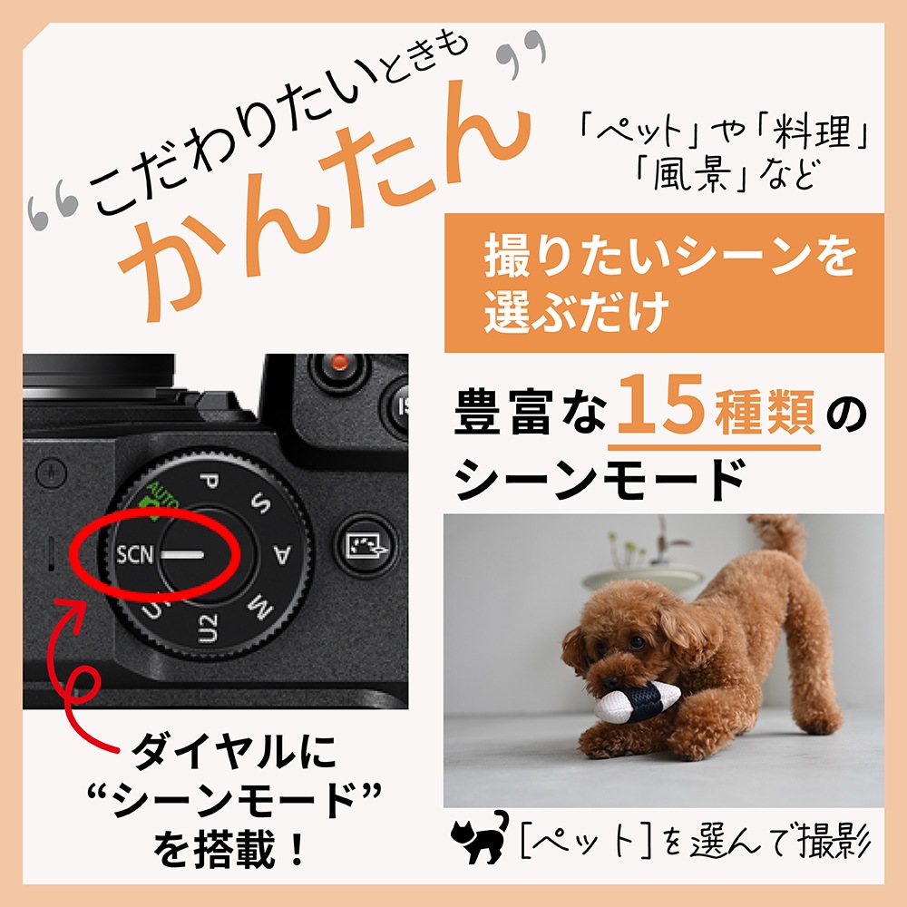 予約商品】Nikon Z5IIC ボディ ブラック【2026年10月23日発売予定 予約商品】Nikon Z5IIC ボディ ブラック【2026年10月23日発売予定