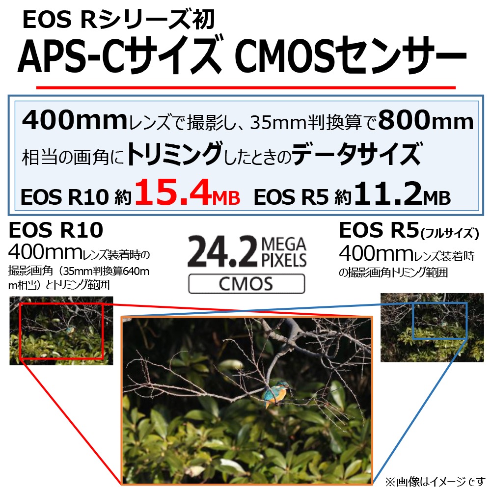 Canon EOS R10 RF-S18-45 IS STM 󥺥åȡ