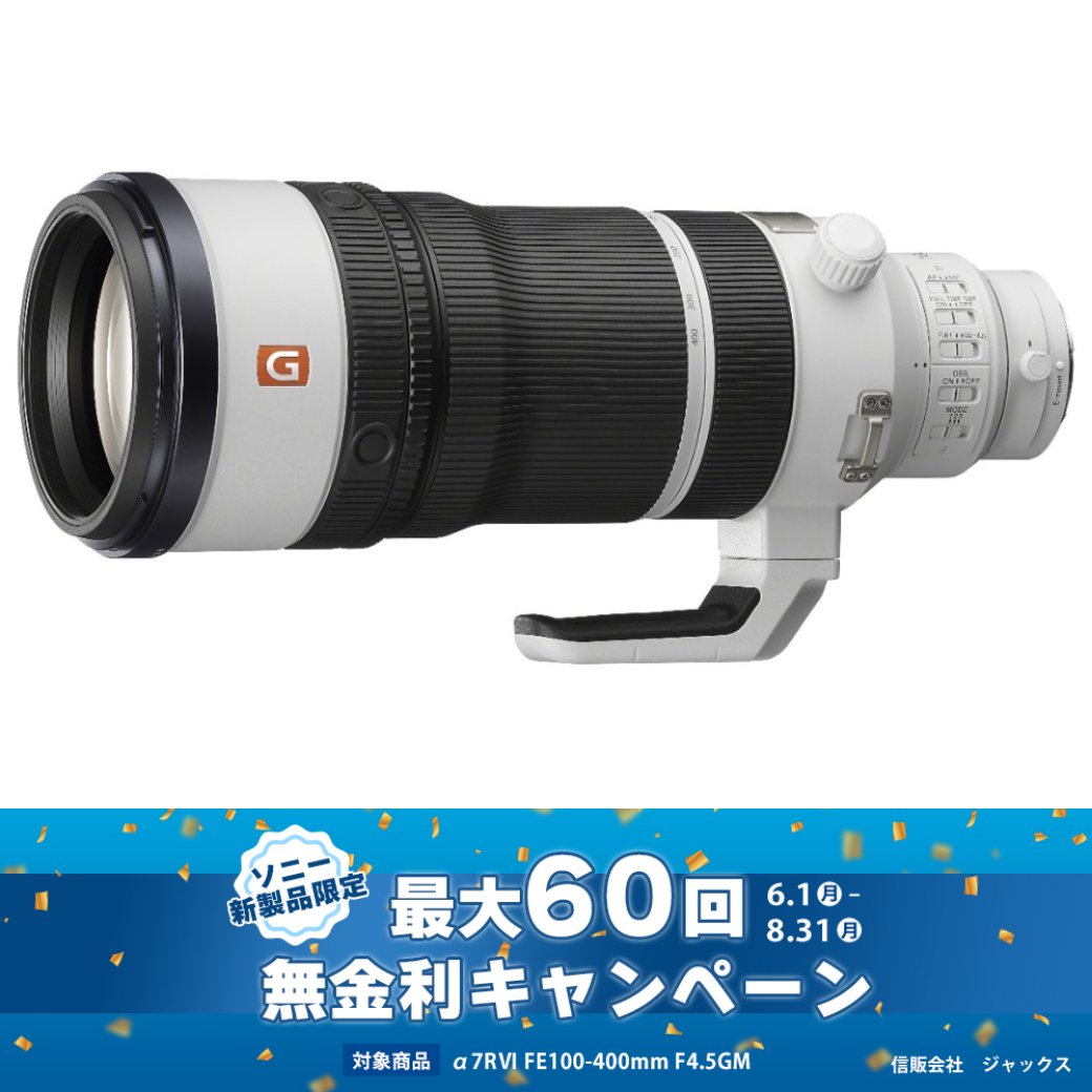 12~60回無金利！カメラの大林分割クレジット支払い専用】SONY FE 100