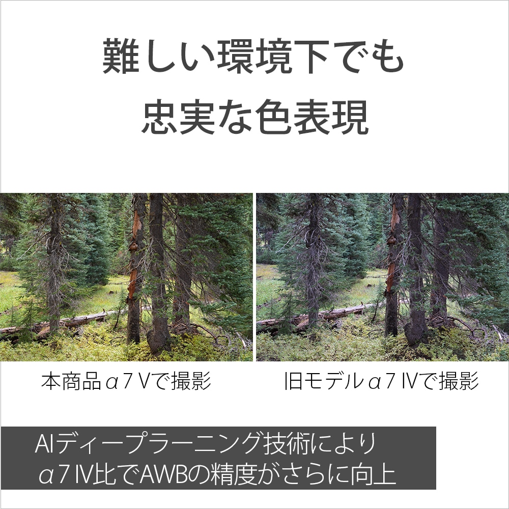 SONY α7 V ズームレンズキット ILCE-7M5M | デジタル一眼,ソニー