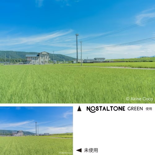 メール便 送料無料】ケンコー 52mm ノスタルトーン・グリーン | 用品