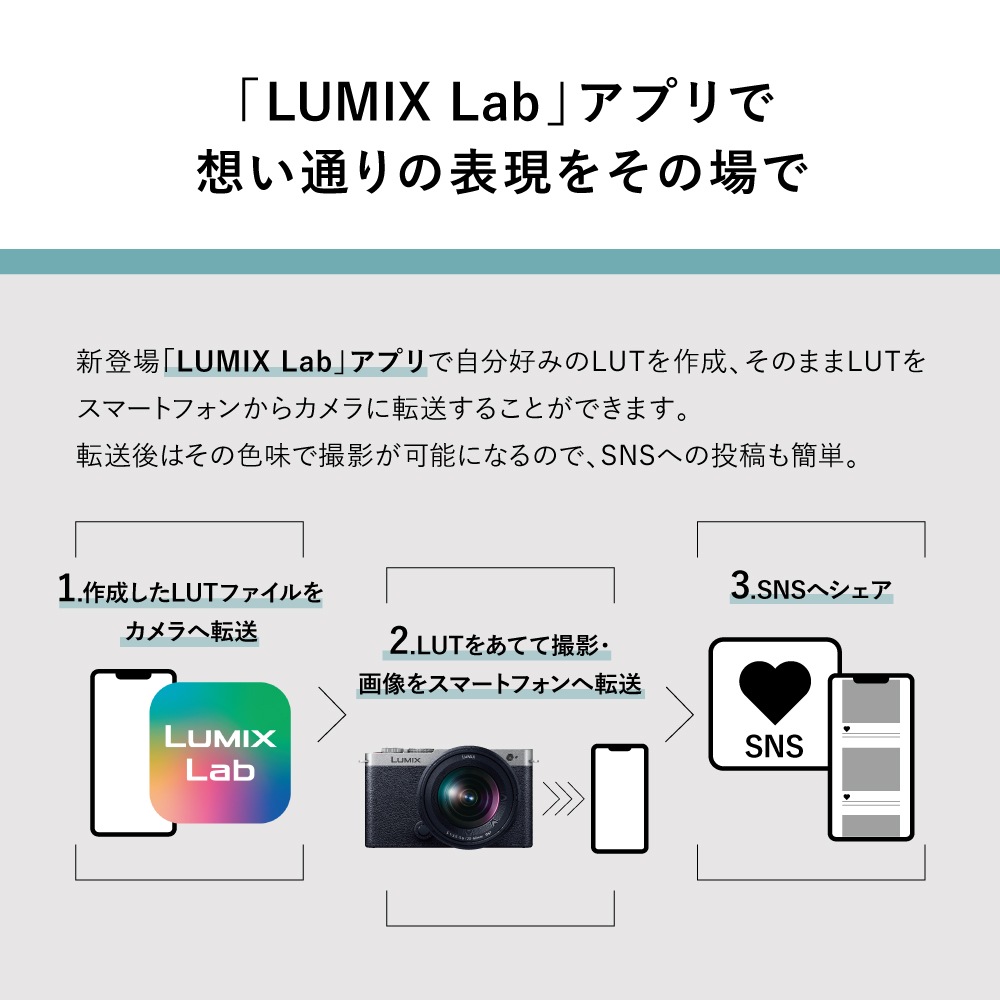 【新品】パナソニック LUMIX S9 ボディ 保証12ヶ月残 ダークシルバー Panasonic LUMIX S9 ボディ ダークシルバー DC-S9-S｜新品通販フジヤカメラ