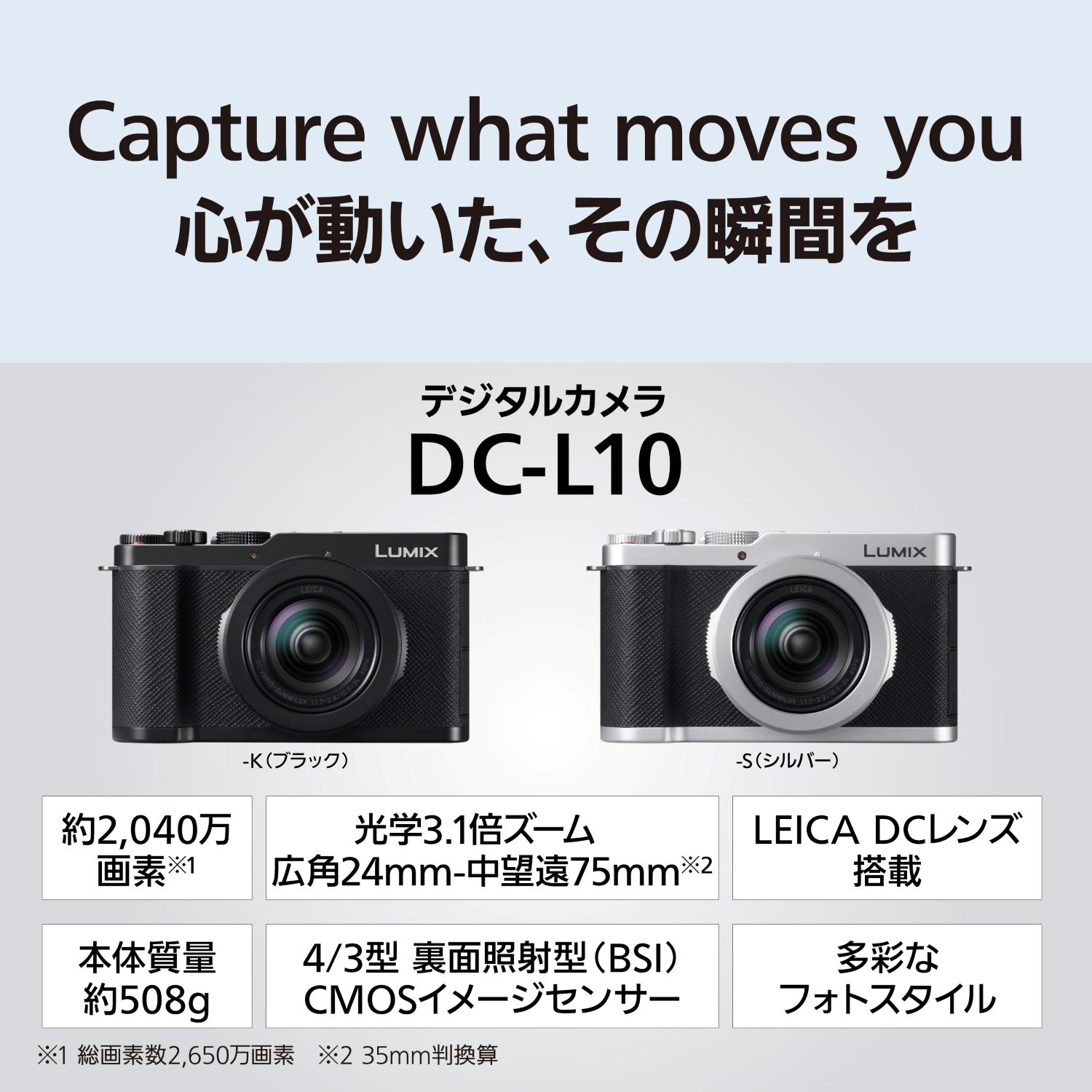予約商品】Panasonic LUMIX L10 シルバー（DC-L10-S）【2026年6月18日