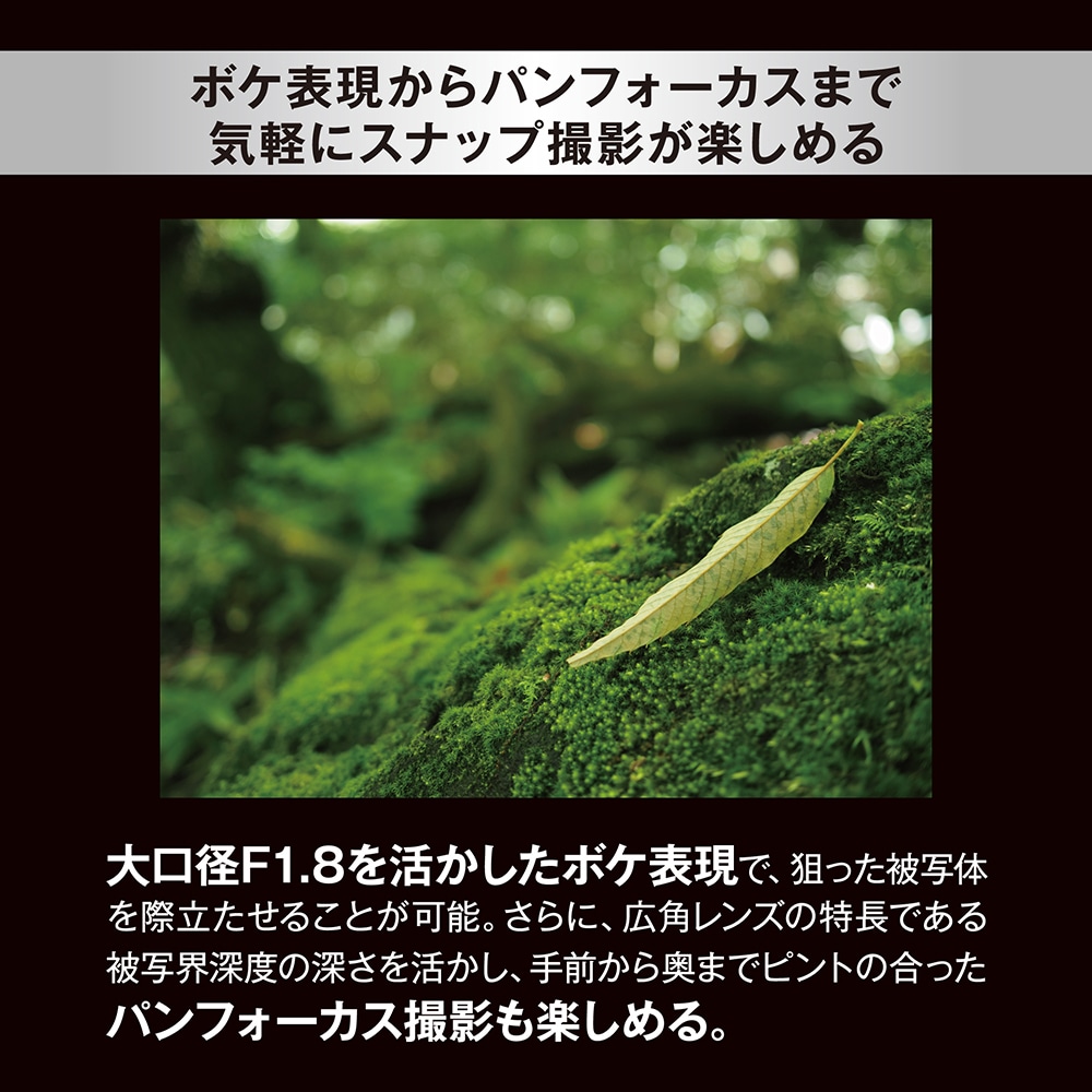 OM SYSTEM M.ZUIKO DIGITAL 17mm F1.8 II ブラック | 交換レンズ