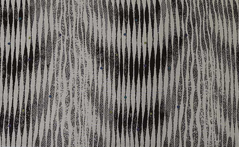 �������ӡ��Ȥߤ俥ʪ��