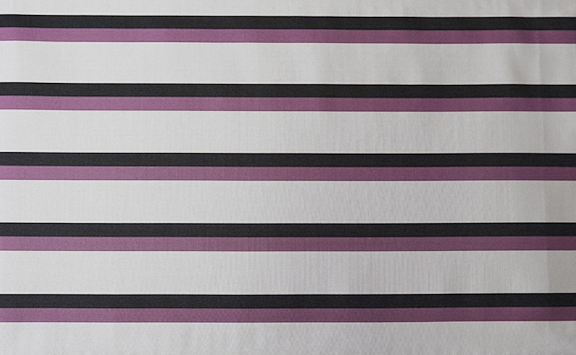 �������ӡ��Ȥߤ俥ʪ��