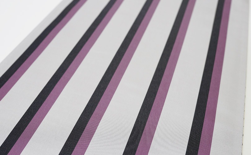 �������ӡ��Ȥߤ俥ʪ��