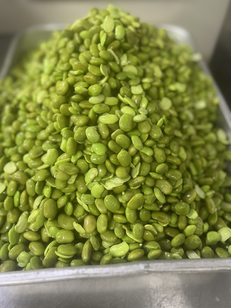 ��������Ʀ�ե��