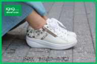 S-501��������/���������