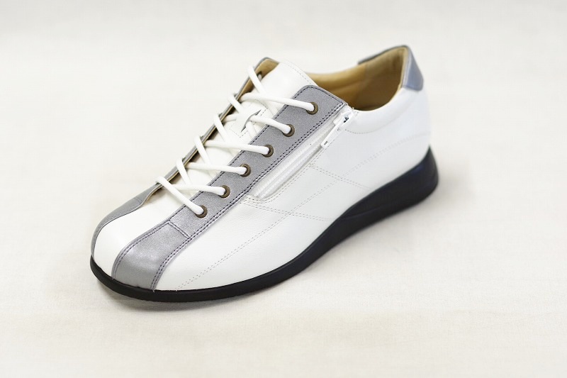 172��E���ˡ�����/����С���172�ǥ������