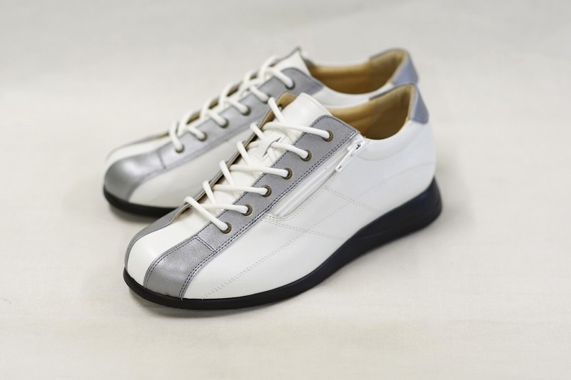 172��E���ˡ�����/����С���172�ǥ������