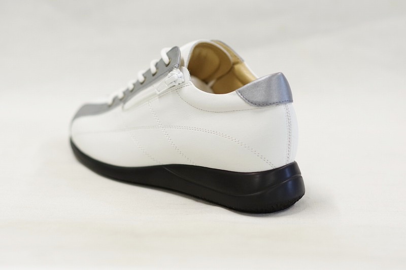 172��E���ˡ�����/����С���172�ǥ������