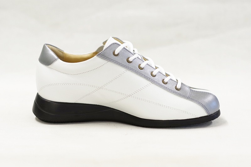 172��E���ˡ�����/����С���172�ǥ������