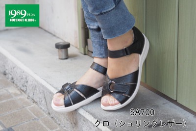 SA700�������ʥ����󥯥쥶����