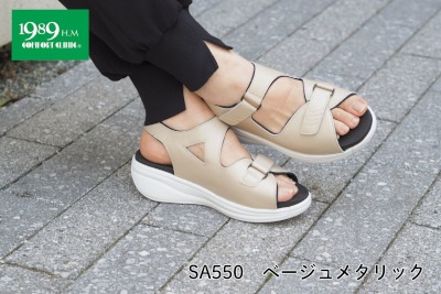 SA550�����������᥿