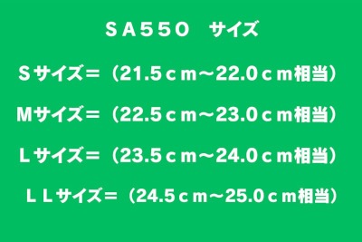 SA550�����������᥿