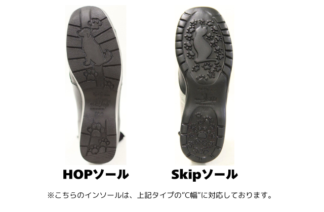 ������󥰥����ץ����롡��C���ˡ����ѥ��󥽡���