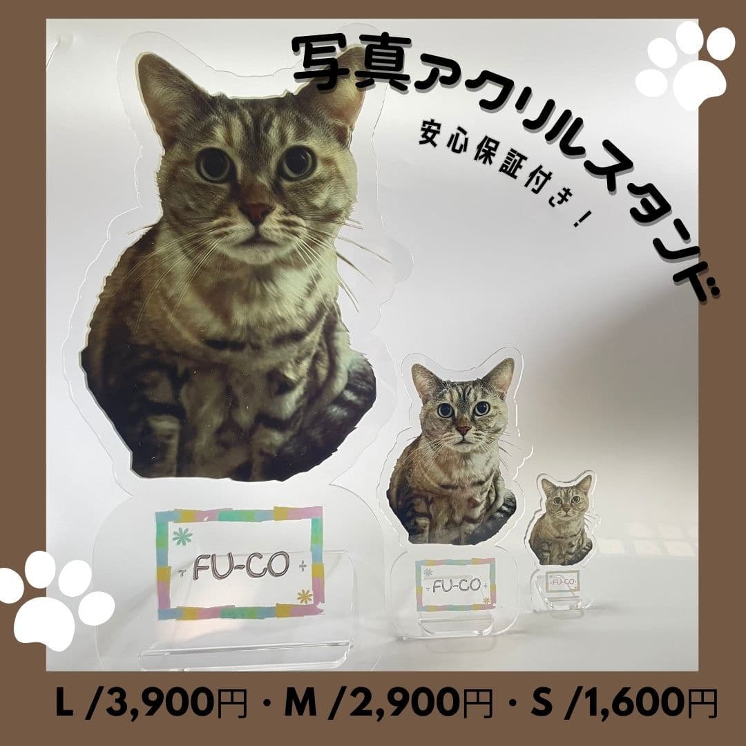 送料無料 写真アクリルスタンド アクリルスタンド フォトスタンド ペット メモリアル フォトプレート 犬 猫 愛犬 愛猫 メモリアルグッズ グッズ 写真 かわいい オーダーメイド  記念 記念品 ペットロス 写真立て 文字入り フォト 思い出 手元供養<br>