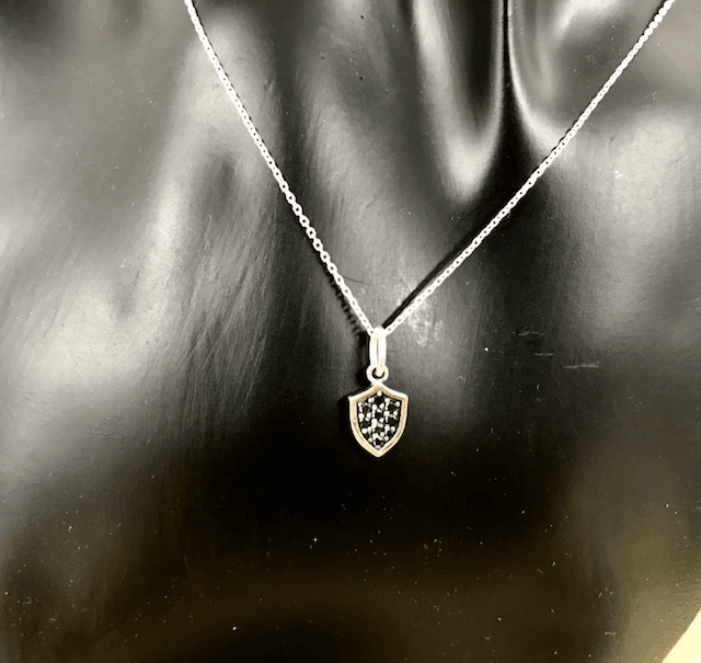 送料込み キラキラネックレス シルバーネックレス ペアネックレス ネックレス ペンダント おしゃれ プレゼント キュービックジルコニア ジルコニア ブラック 黒 お揃い 小さめ 華奢 プレゼント シルバー925 メンズ レディース ストーン 19juuku