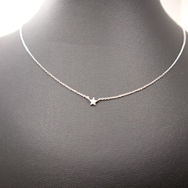 送料込み 華奢なネックレス スターネックレス 星モチーフネックレス 普段使い ネックレス 星 人気 おしゃれ かわいい プレート 小さめ 小さい 華奢 バレンタイン ホワイトデー 誕生日 プレゼント 真鍮 メンズ レディース ジルコニア ストーン 19juuku