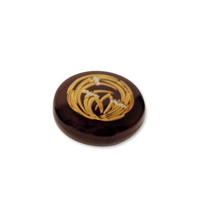 �͵��������Ʒʿ��ʤ������ָ���������