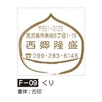 �դ����¡����ꡡF-09