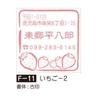�դ����¡�������-2��F-11