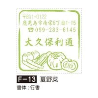 �դ����¡�����ڡ�F-13