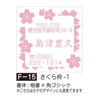 �դ����¡���������-1��F-15