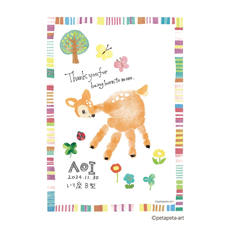 First��Art�ʥե������� �����ȡ�A5��������������