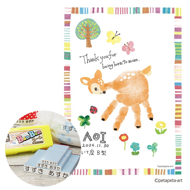 First��Art�ʥե������� �����ȡ�A5���������������ܤ�����å�DX