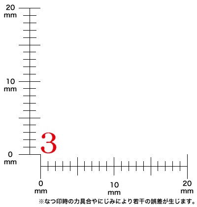 ɥ쥹סåȡʣܡīΡˣ