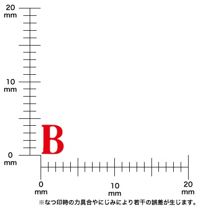 ɥ쥹סѻåȡʣܡīΡˣ