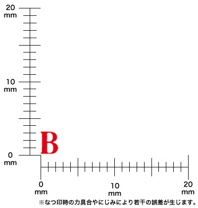 ɥ쥹סѻåȡʣܡīΡˣ