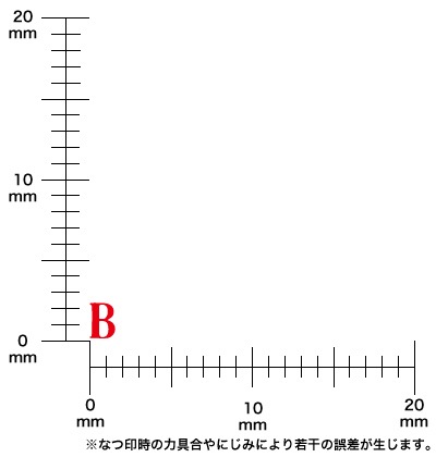 ɥ쥹סѻåȡʣܡīΡˣ