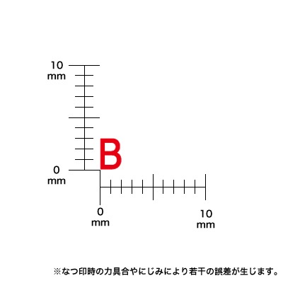 ����ɥ쥹������ס��ѻ����åȡʣ����ܡ������å��Ρˣ���