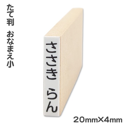 ��̾��������ס֣£��£��͡����ñ�ʡ�����Ƚ�����ʤޤ���