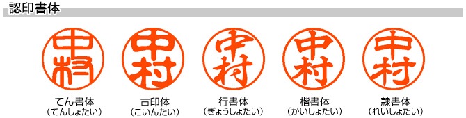 ǧ��/����(����)/12mm��(�ܥȥ�����������)
