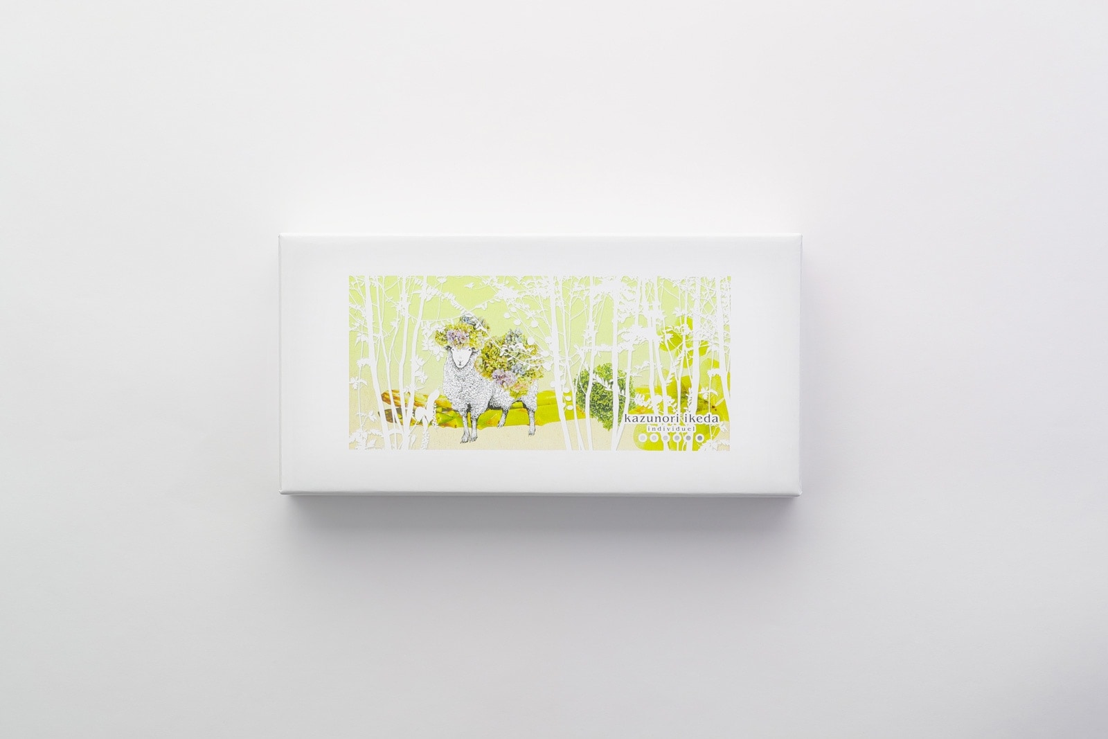 Ƥۻҵͤ碌12ڤҤĤåȡ