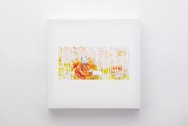 Ƥۻҵͤ碌20ڤ֤åȡ