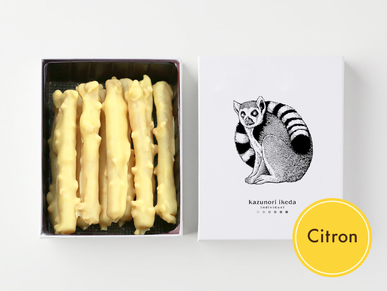 ������å� ���ȥ���