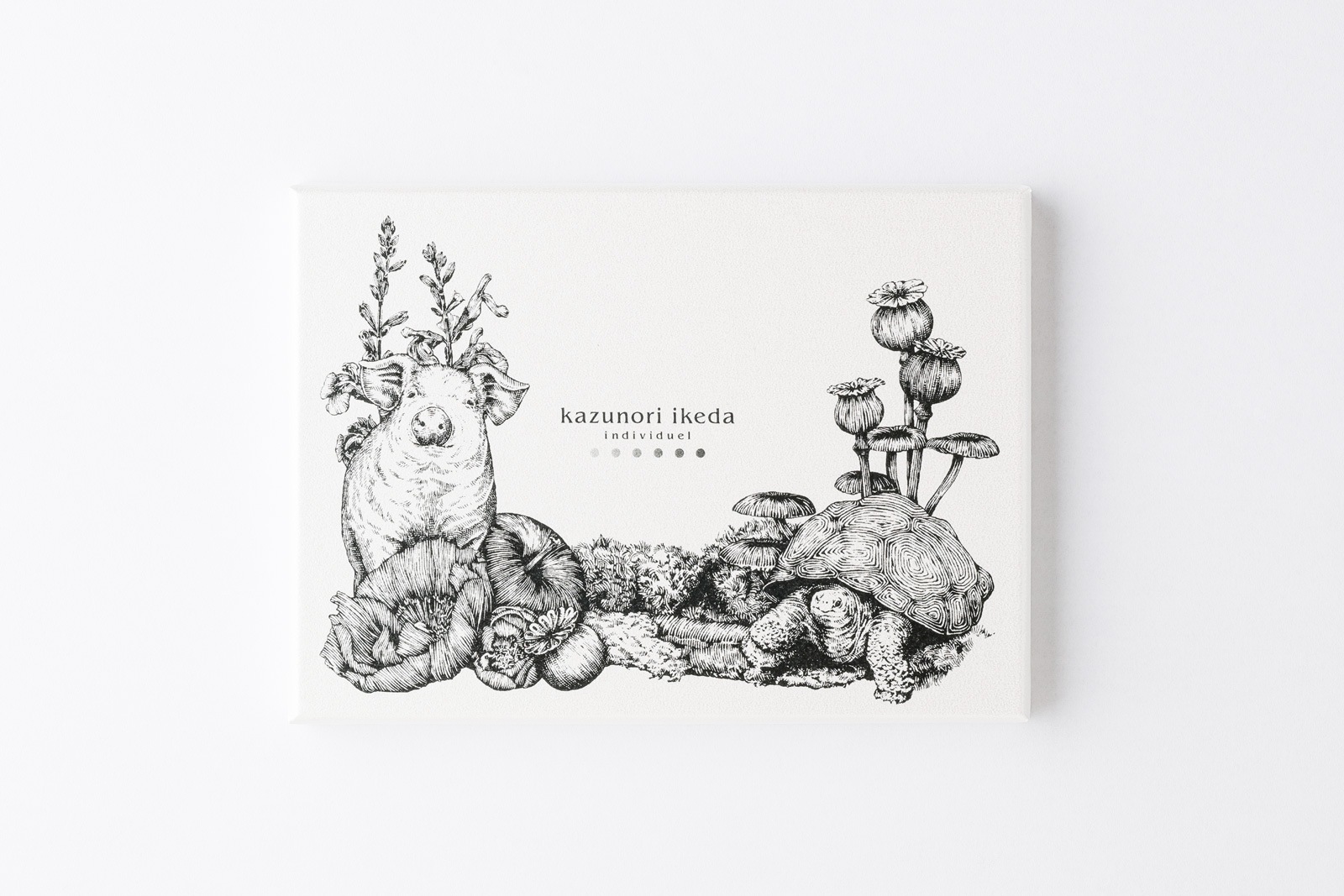 ���쥯����� ���祳�� B6