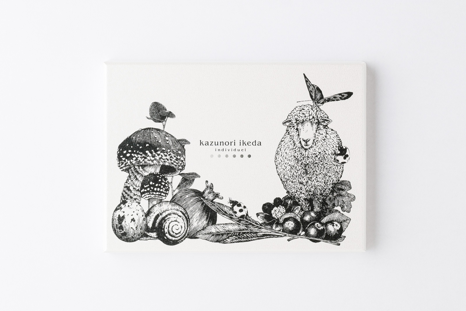 ���쥯����� ���祳�� H6