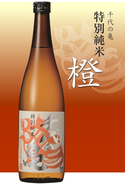 ����ε��������̽��Ƽ����ס�