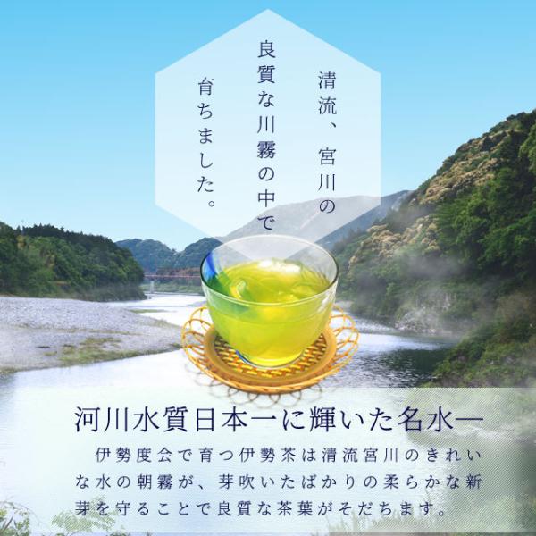 日本茶 伊勢茶 選べる お茶 3袋 詰合せ 農薬・肥料不使用栽培 無農薬