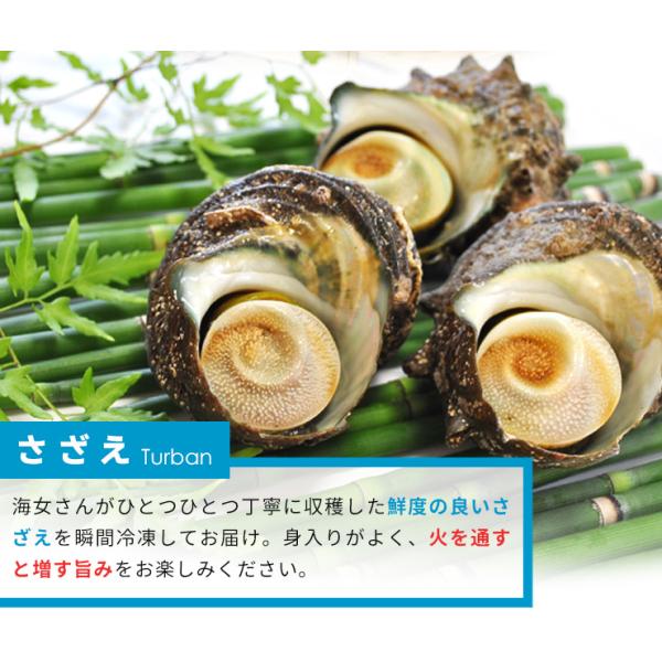 牡蠣 さざえ カンカン焼き セット （冷凍） 送料無料 牡蠣10個と